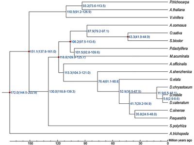 Chromosome-Scale Assembly of the Dendrobium nobile Genome Provides Insights Into the Molecular Mechanism of the Biosynthesis of the Medicinal Active Ingredient of Dendrobium